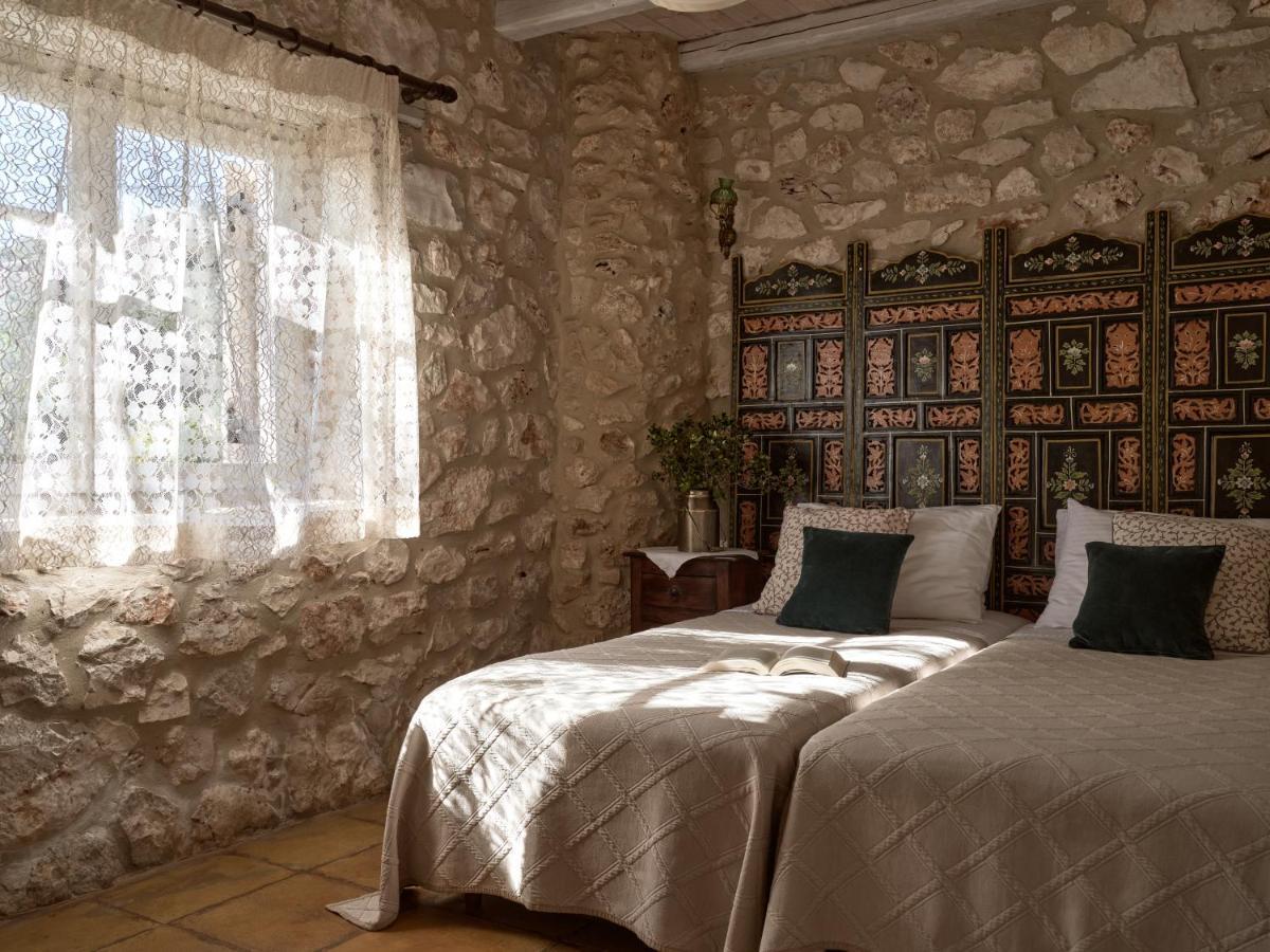 Orfos * Agios Nikolaos (Zakynthos)